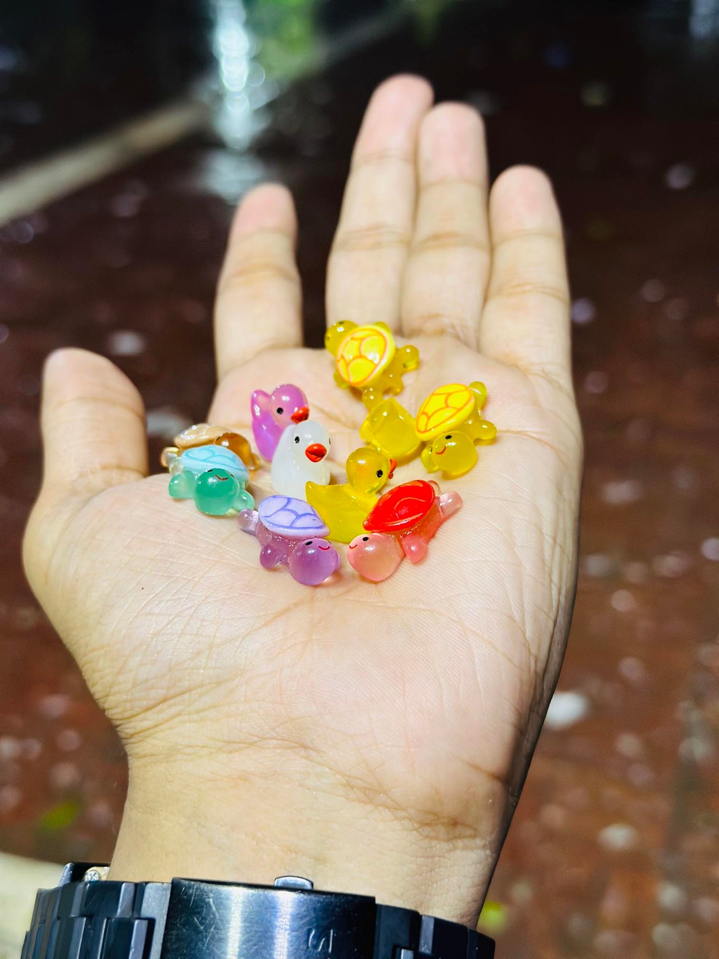 22 Pcs Duck & Tortoise Combo Pre Order