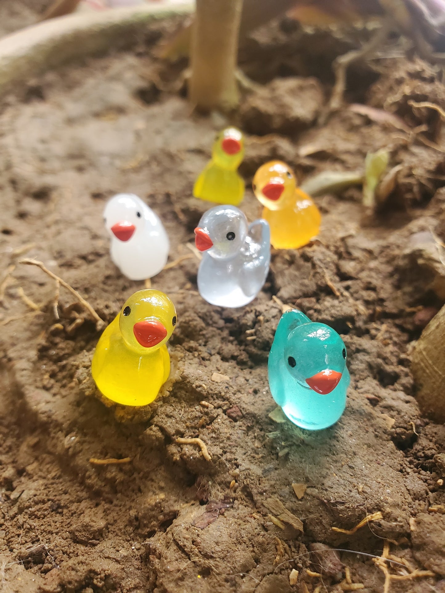 11 Pcs Glow-in-the-Dark Duck Figurines Pre Order