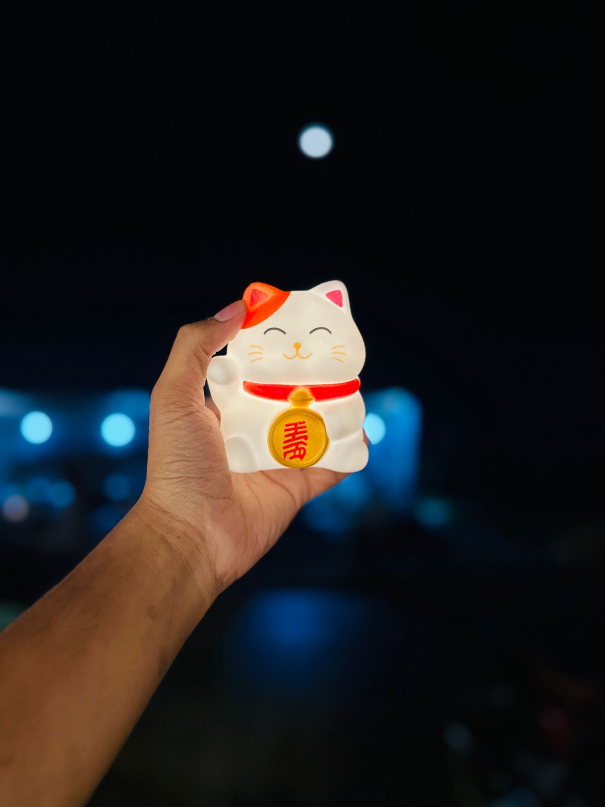 Soft Lighting Colour Changing Panda & Cat Combo