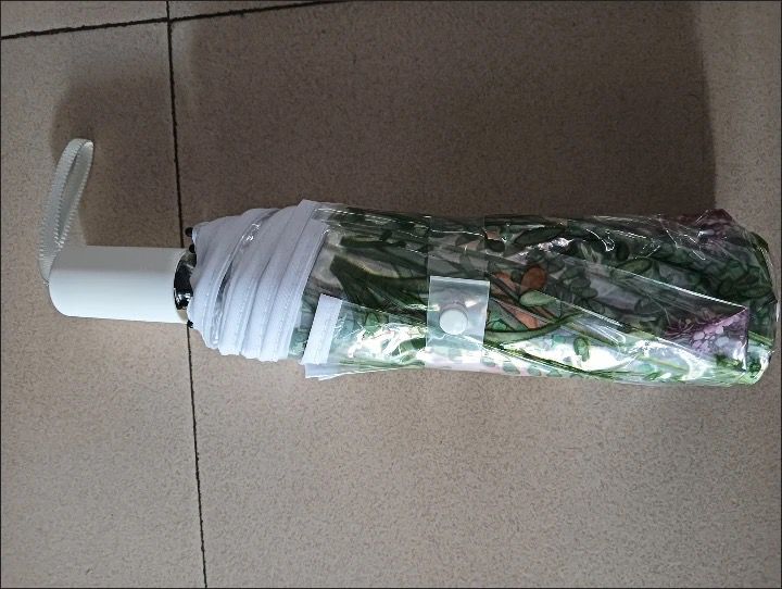 Floral Transparent Automatic Umbrella Pre Order